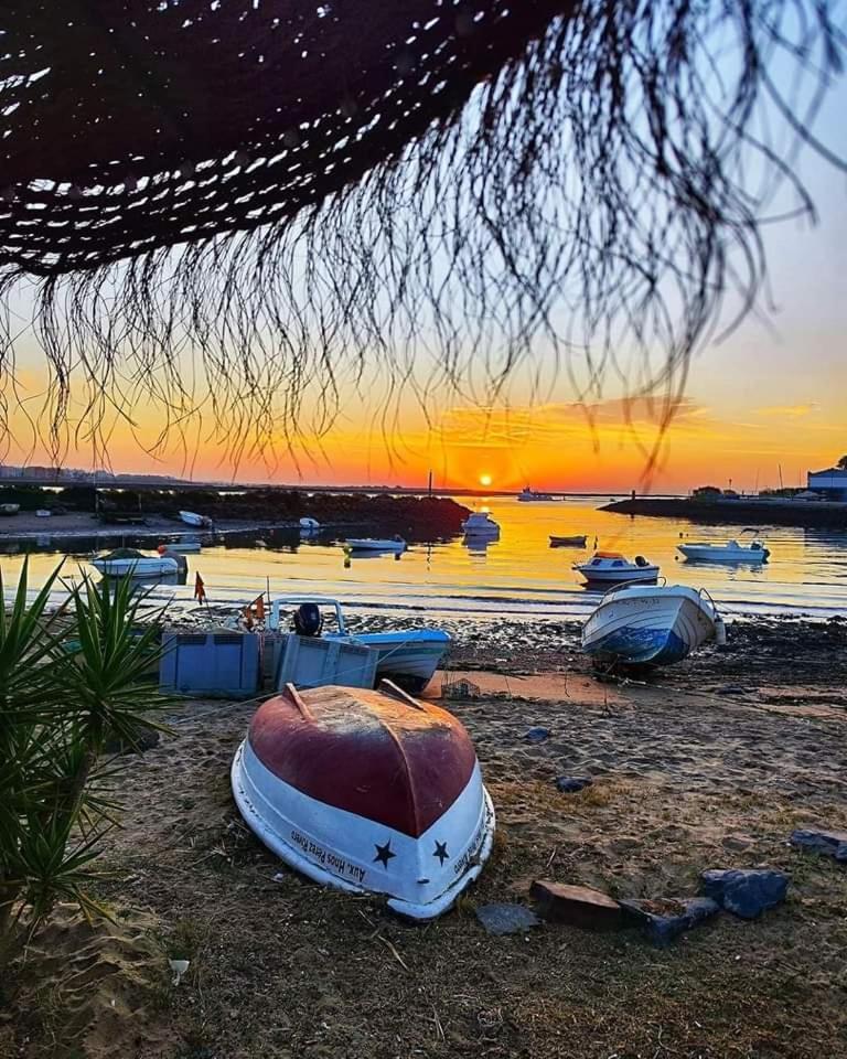 Sol Y Luz Daire Isla del Moral Dış mekan fotoğraf