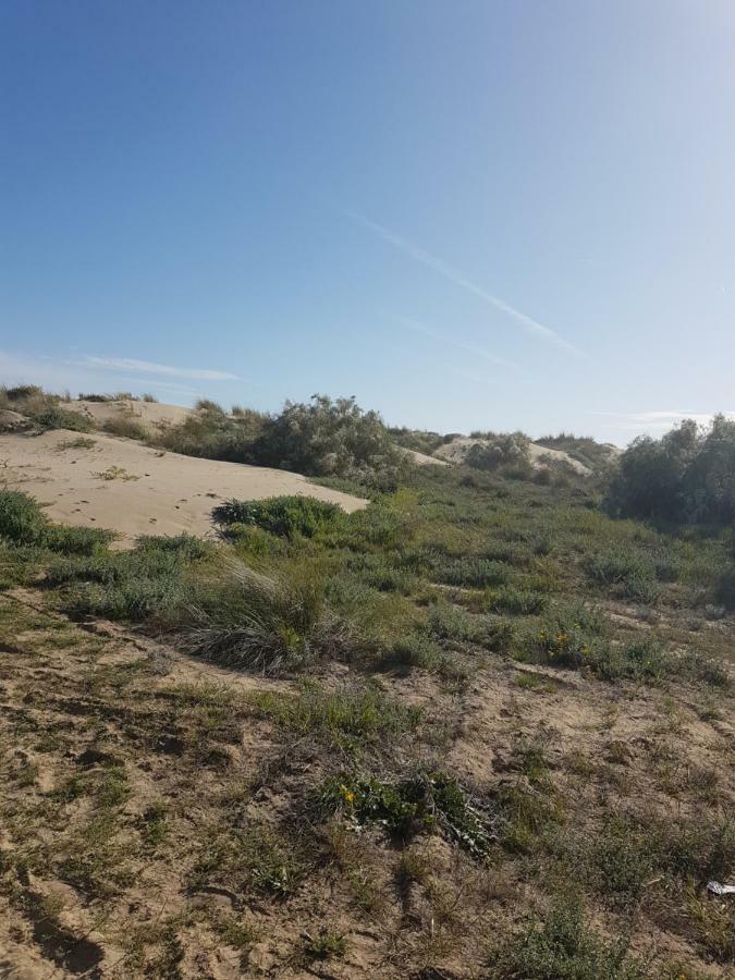 Sol Y Luz Daire Isla del Moral Dış mekan fotoğraf