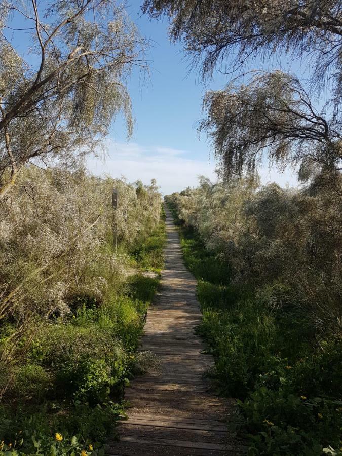 Sol Y Luz Daire Isla del Moral Dış mekan fotoğraf