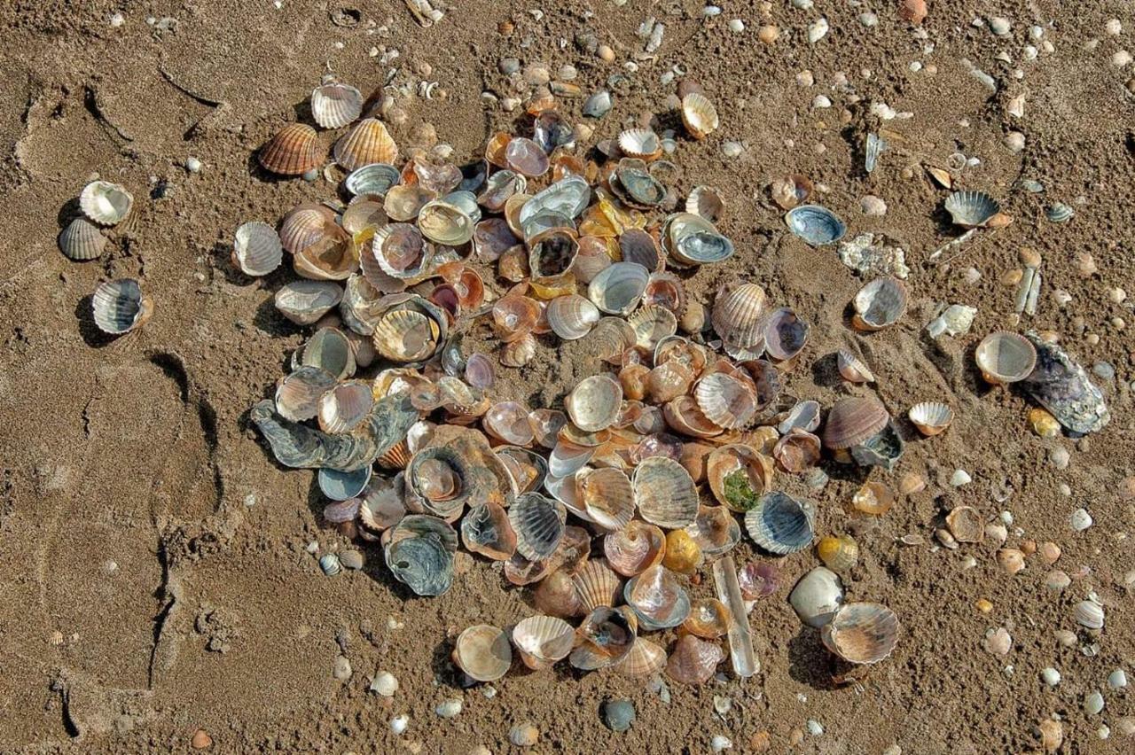 Sol Y Luz Daire Isla del Moral Dış mekan fotoğraf